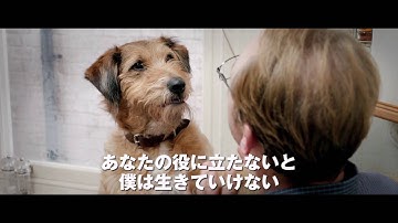 『ミラクル・ニール！』予告編