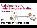 TWiN 41: Alzheimer&#39;s and melanin-concentrating hormone