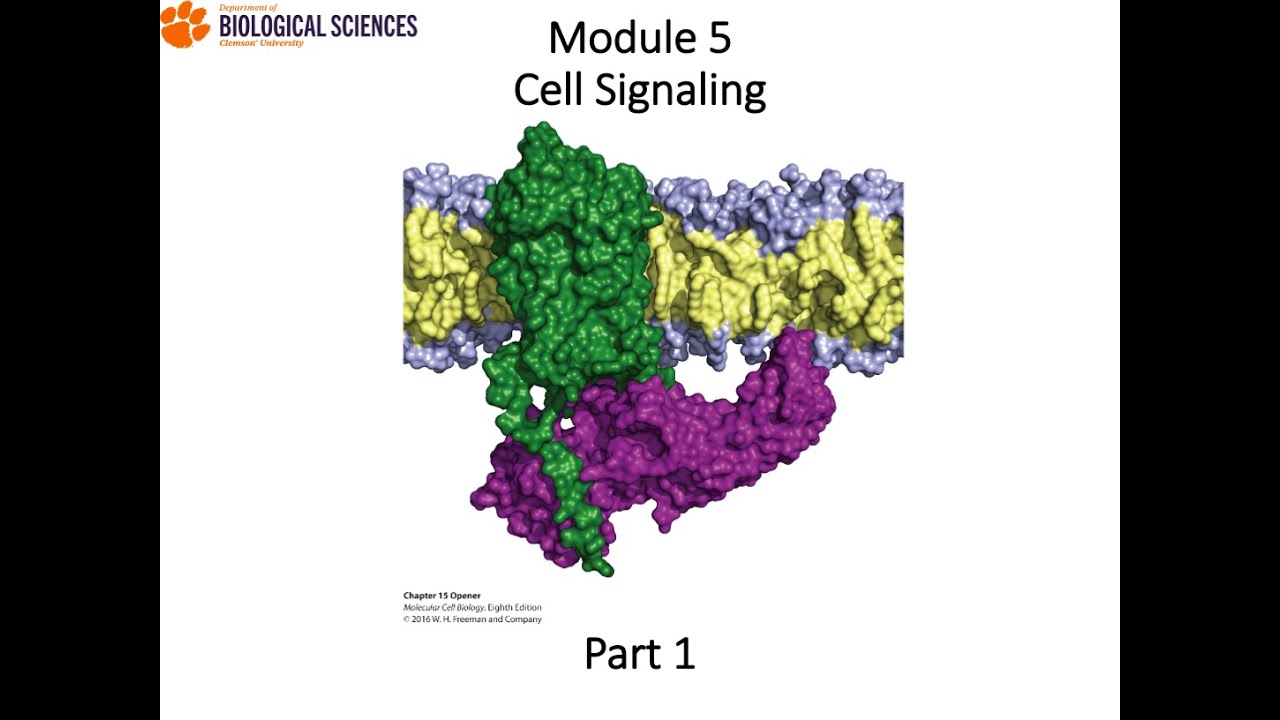 16 FALL20 BIOL 8420 Module 5 Part 1