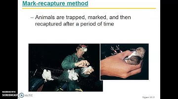 Population Dynamics part 1