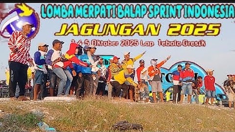 LOMBA MERPATI BALAP SPRINT INDONESIA. JAGUNGAN 2025 HARI JUMAT 500 METER LAP TEBALO GRESIK