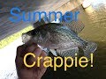 How To Catch Crappie From the Bank in Summer