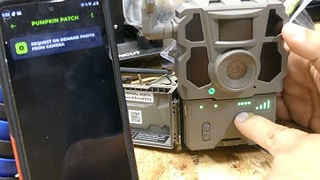 CDO Tech Tips: Reveal X 2.0 Setup