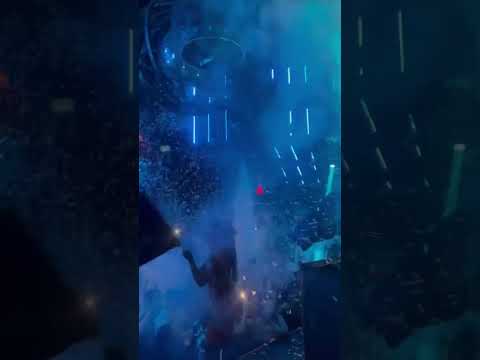Timmy Trumpet Live