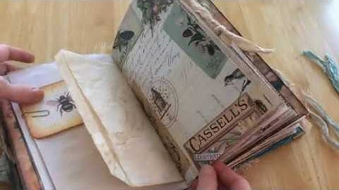 Succulents & Basic Entomology Journal for Lorri ft Precursory DT Project for Tracie Fox Creative.com