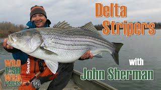 Delta Stripers with John Sherman