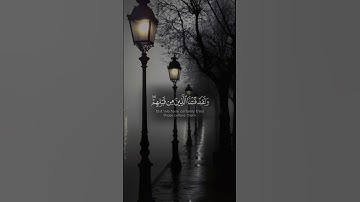 أحسب الناس ان يتركوا ان يقولوا آمنا سورة العنكبوت #قرآن #المصحف #القرآن_الكريم #حالات_واتس #اكسبلور