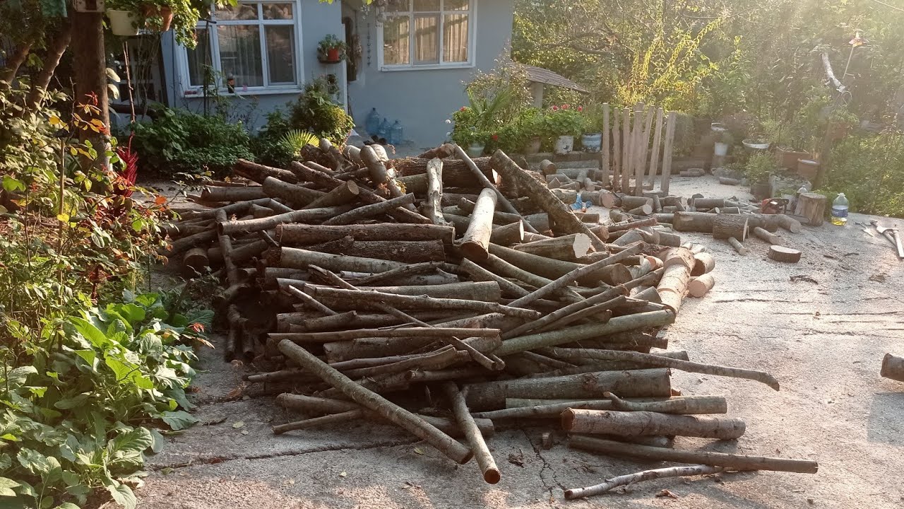 köy ihtiyaç odunu  aldı bu gün