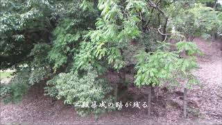 仁徳天皇陵(大仙古墳)いくつかの陪塚(百舌鳥古墳群8)1(堺市)(大阪府)(中期)Daisen Tumulus’s Associate Tombs 1(Oosaka Pref.) 仁徳天皇陵(大仙古墳)いくつかの陪塚(百舌鳥古墳群8)1(堺市)(大阪府)(中期)Daisen Tumulus’s Associate Tombs 1(Oosaka Pref.)