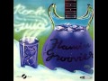 Flamin&#39; Groovies - This Could Be the Night