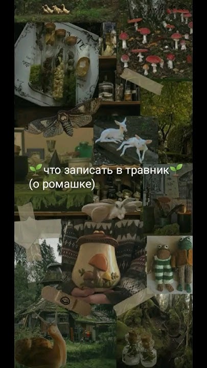 🌱🌾идея для травника 🌱🌾#гоблинкор #травница #🌼# - YouTube