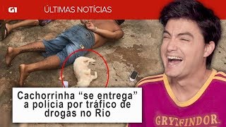 ALGUÉM ME EXPLICA ISSO! [+10]