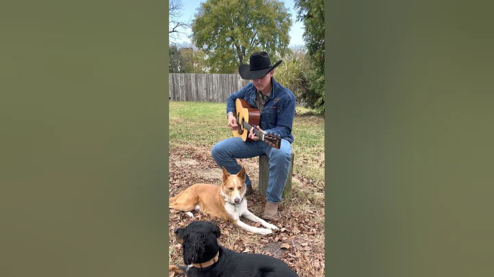 Zach Top - I Can Still Make Cheyenne (Cover)