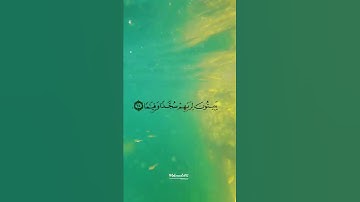 تلاوة مبكية ( وعباد الرحمن ) أخر سورة الفرقان للشيخ حسن صالح