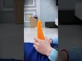 What Is The Male Police Officer Doing Short Officer Rabbit Angel 