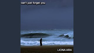 can't just forget you