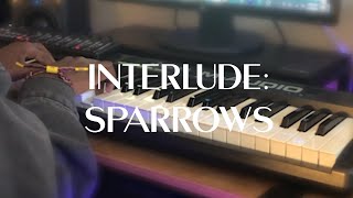 Interlude: Sparrows (From Illumination | The Full Experience)