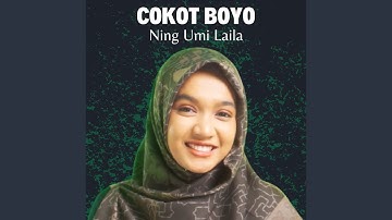 Cokot Boyo