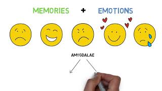 Emotional Memory