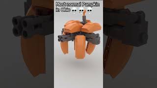 Most normal pumpkin in Ohio