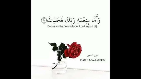 والضحى للقارئ إدريس أبكر 💚