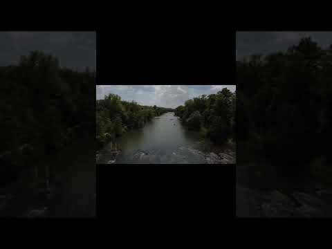 Лесная река, лето,