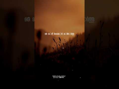 New whatsapp status, New malayalam lyrical status, #trending #new #reels #song #love #status #shorts