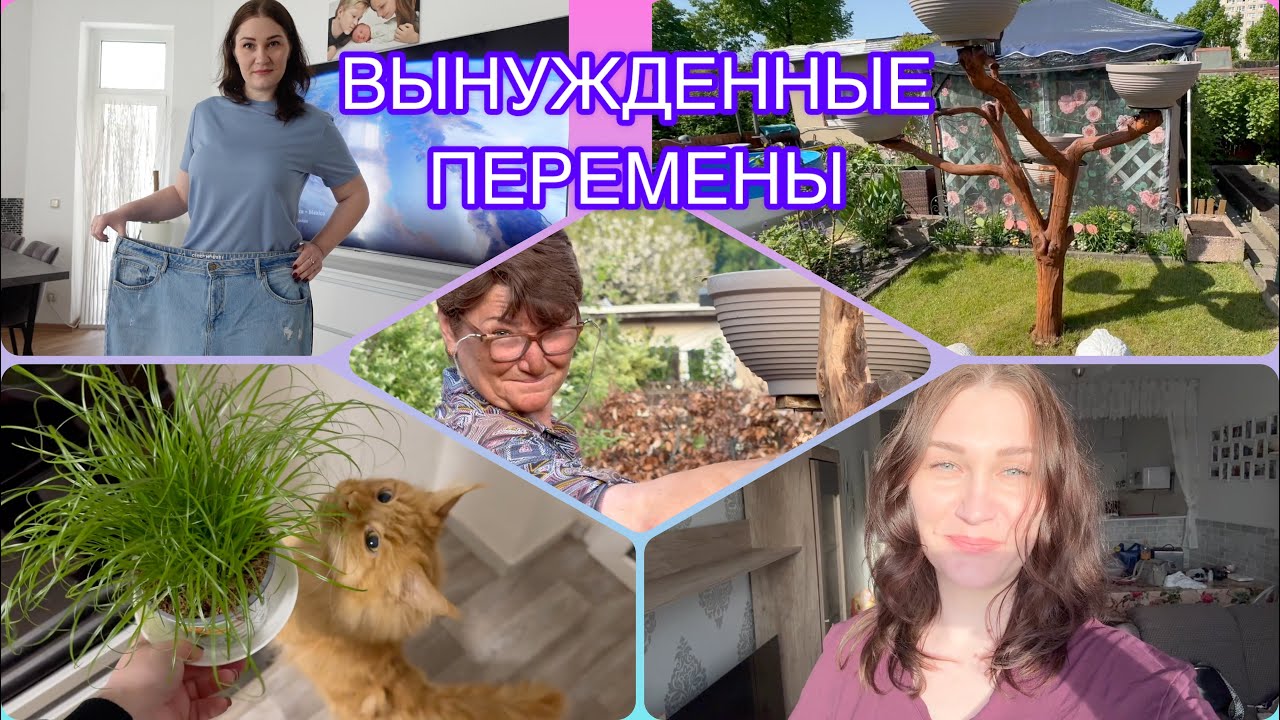 Влог????Мезотерапия/Что растёт на даче?/Декоративное дерево/Рабочие ...