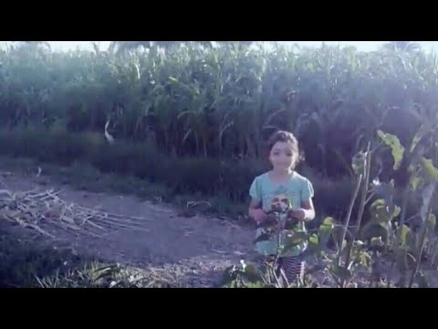 مريم و باب الحياه وإلي على فيض الكريم الدنيا بتدوسه