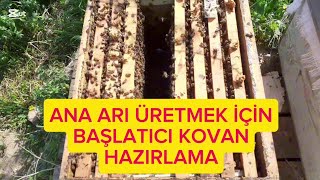 Ana Arı Üretiminde Başlatıcı Kovan Hazırlama