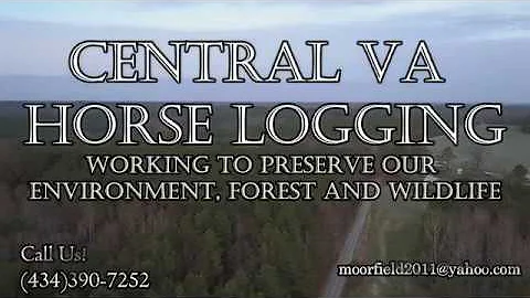 Central Va Horse Logging