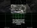 Уникальная разведка в годы войны: тайные укрытия и их роль