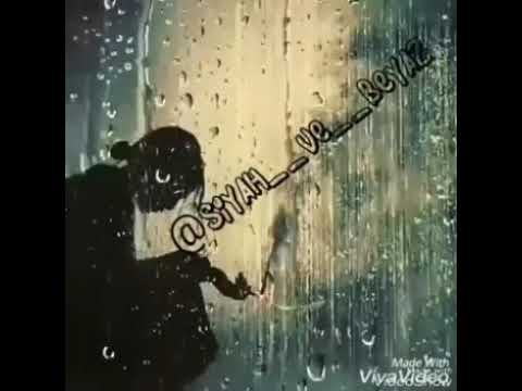 شفيم بيدة روجم بيتة از بيتة انبأم