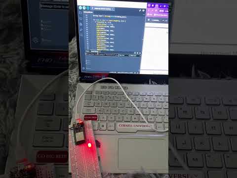 morse code assignment