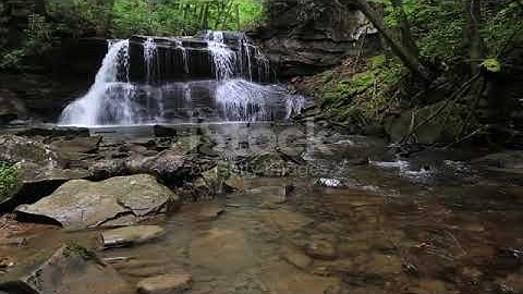 nhìn ngắm phong cảnh thác nước thiên nhiên chim hót du dương phong cảnh thiên nhiên 4