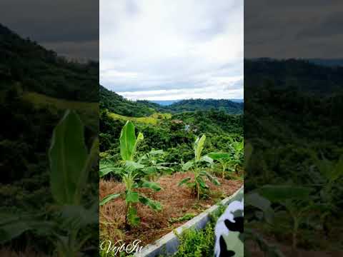 ভিডিও: কীভাবে নিজেকে প্রকৃতির ভ্রমনে রক্ষা করবেন