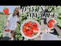 DAY IN MY LIFE: strawberry picking + baking homemade strawberry pie!