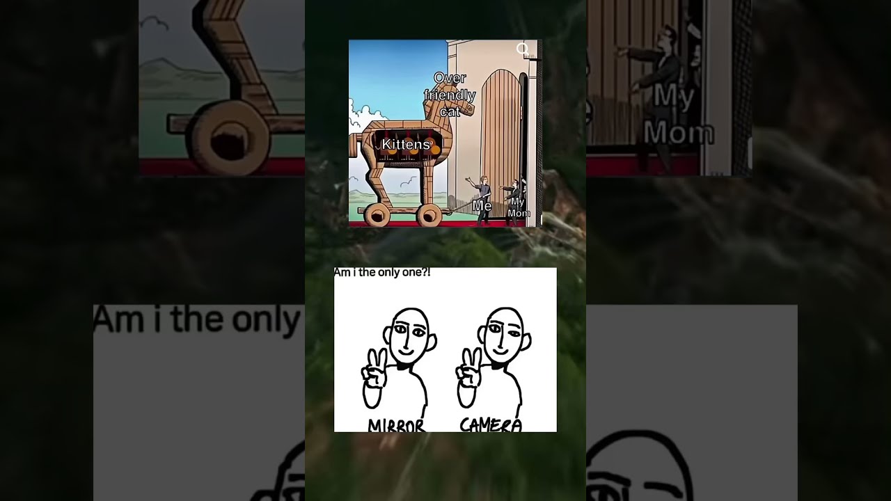 4a Memesdaily Memes Zyxabc Funnyimages