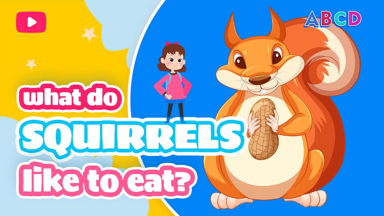 SQUIRRELS. What do animals eat? Educational stories for children from