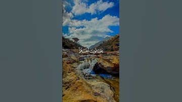 قرآن كريم تلاوه خاشعه يريح قلبك صوت الشيخ ياسر الدوسري #اكسبلور #قران #دويتو #لايك #راحة_نفسية