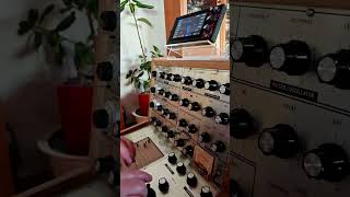 Clone Synthi VCS3 et The 3FX