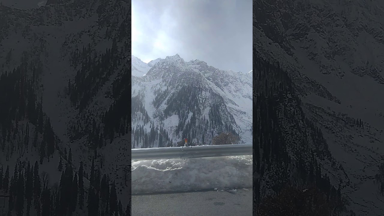 snow, manali, tourism, dog, movie, porn, game, how, to, phone, india, show, nature, prank, funny, go