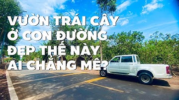 Lo tiền cho con du học bán gấp vườn trái cây ở BR-VT đường lớn xem là thích liền (NGƯNG BÁN)