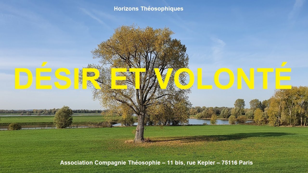 Désir et Volonté