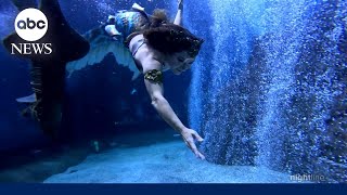 Mermaid enthusiasts dive into the '#mercore' trend