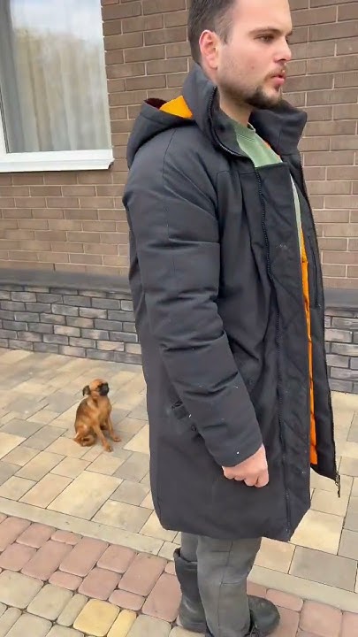 Команда место на поводок-подзыв ко мне по очереди и по очередная ...