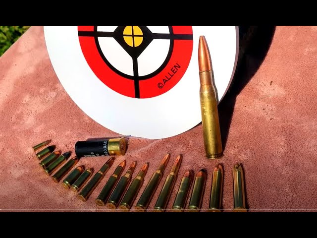 50ae vs 45acp HORNADY XTPs - How Many Paper Plates??? 