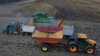 Corn Harvest 2021