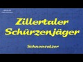 Miniature de la vidéo de la chanson Schneewalzer