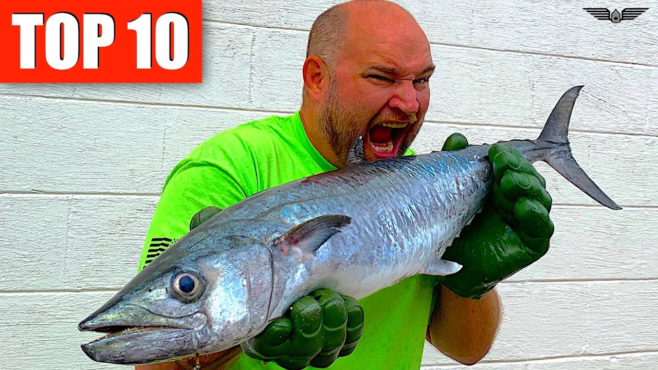 10 BEST FISH TO EAT 
